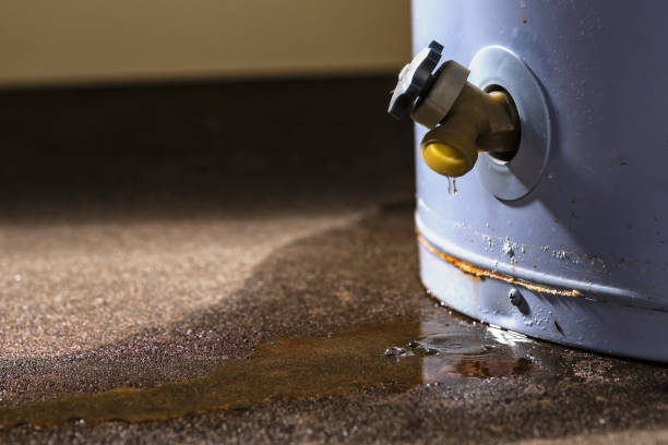 Best Flood damage cleanup  in Torrance, CA