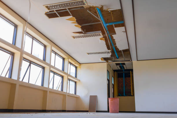 Best Fire Damage Restoration  in Torrance, CA