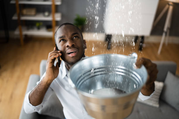 Best Residential water damage restoration  in Torrance, CA