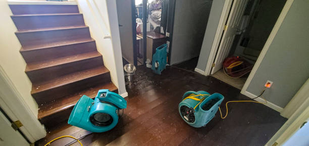 Best 24-hour water damage restoration  in Torrance, CA