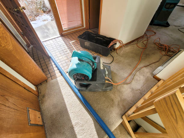 Best Water damage restoration cost  in Torrance, CA