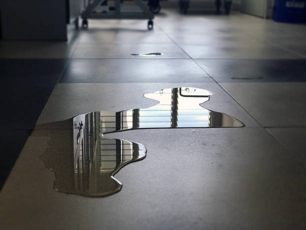 Best Water damage restoration services  in Torrance, CA