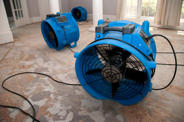 Best Fire Damage Restoration  in Torrance, CA
