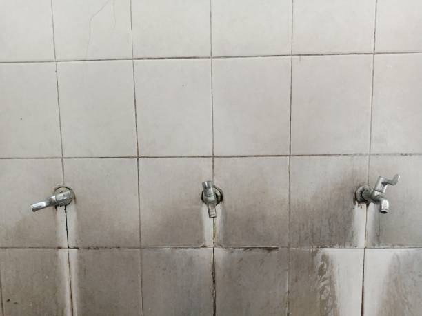 Best Sewage cleanup and water damage restoration  in Torrance, CA