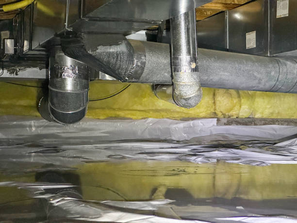 Best Professional water damage repair  in Torrance, CA