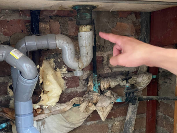 Best Water damage restoration near me  in Torrance, CA