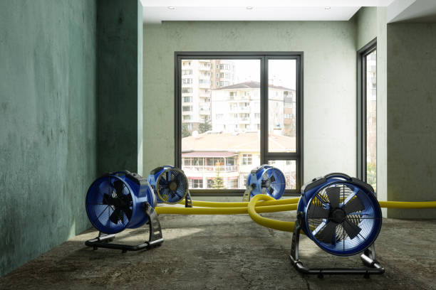 Best Water damage restoration experts  in Torrance, CA